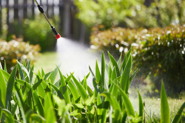 24/7 Emergency Mosquito Control experts in Leonardo, NJ