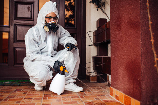 Reliable Mosquito Control contractor in Leonardo, NJ by Show Me Pest Control